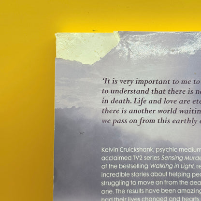 Bridging the Gap: Channelling Spirit to Heal Hearts by Kelvin Cruickshank