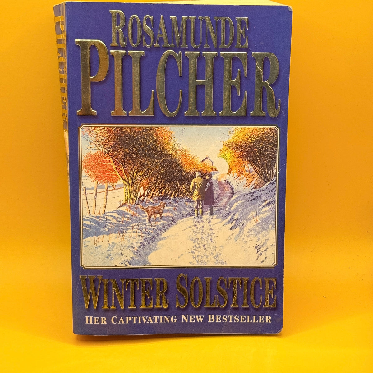Winter Solstice by Rosamunde Pilcher