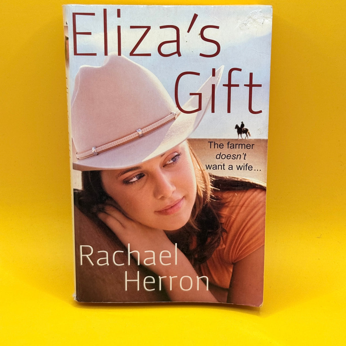 Eliza’s Gift by Rachael Herron