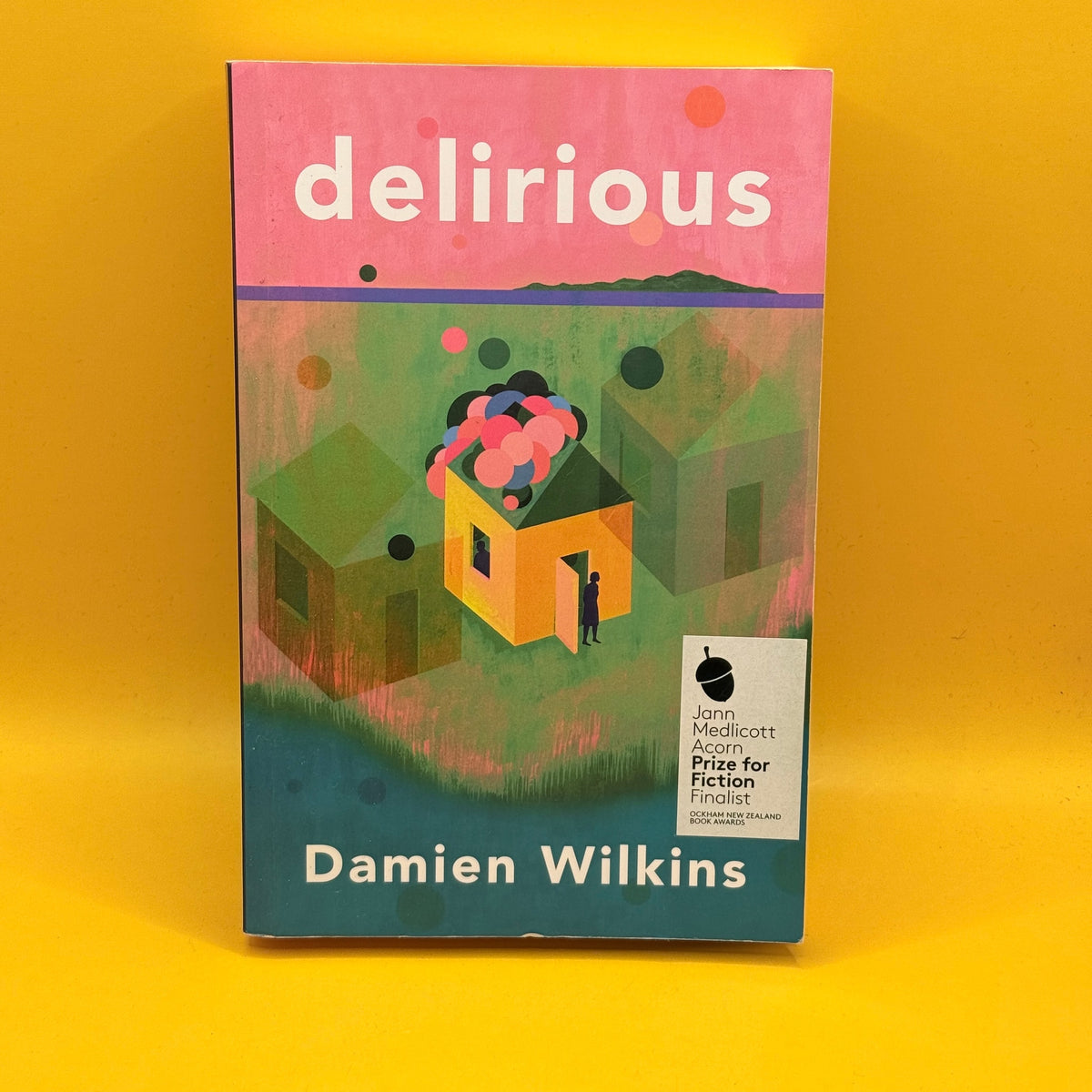 Delirious by Damien Wilkins