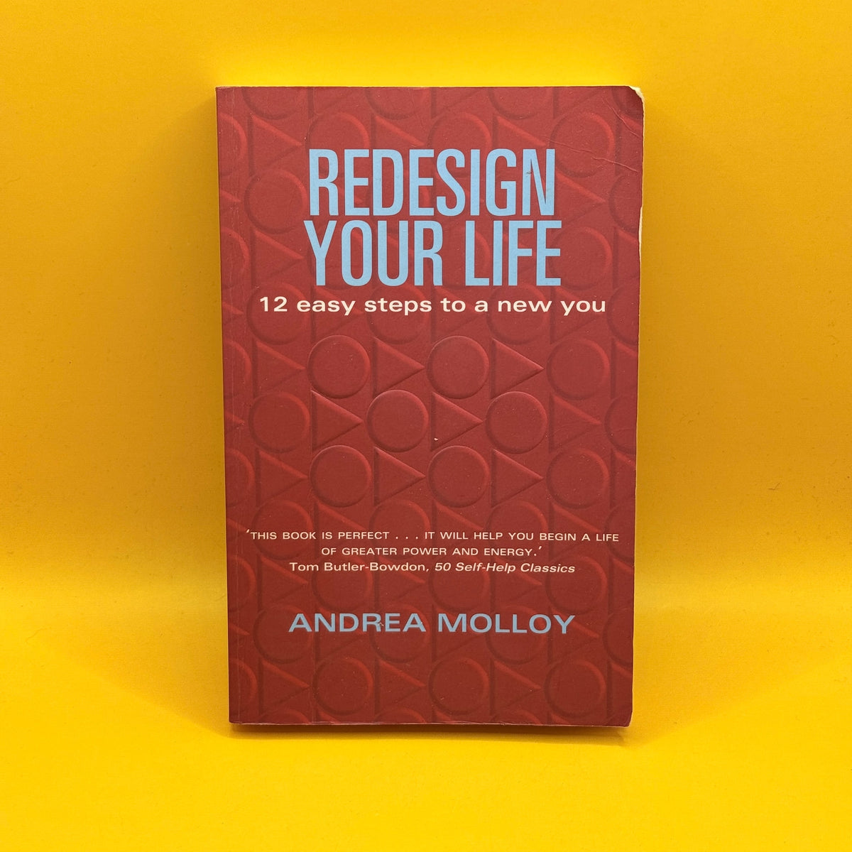 Redesign Your Life: 12 Easy Steps to a New You by Andrea Molloy