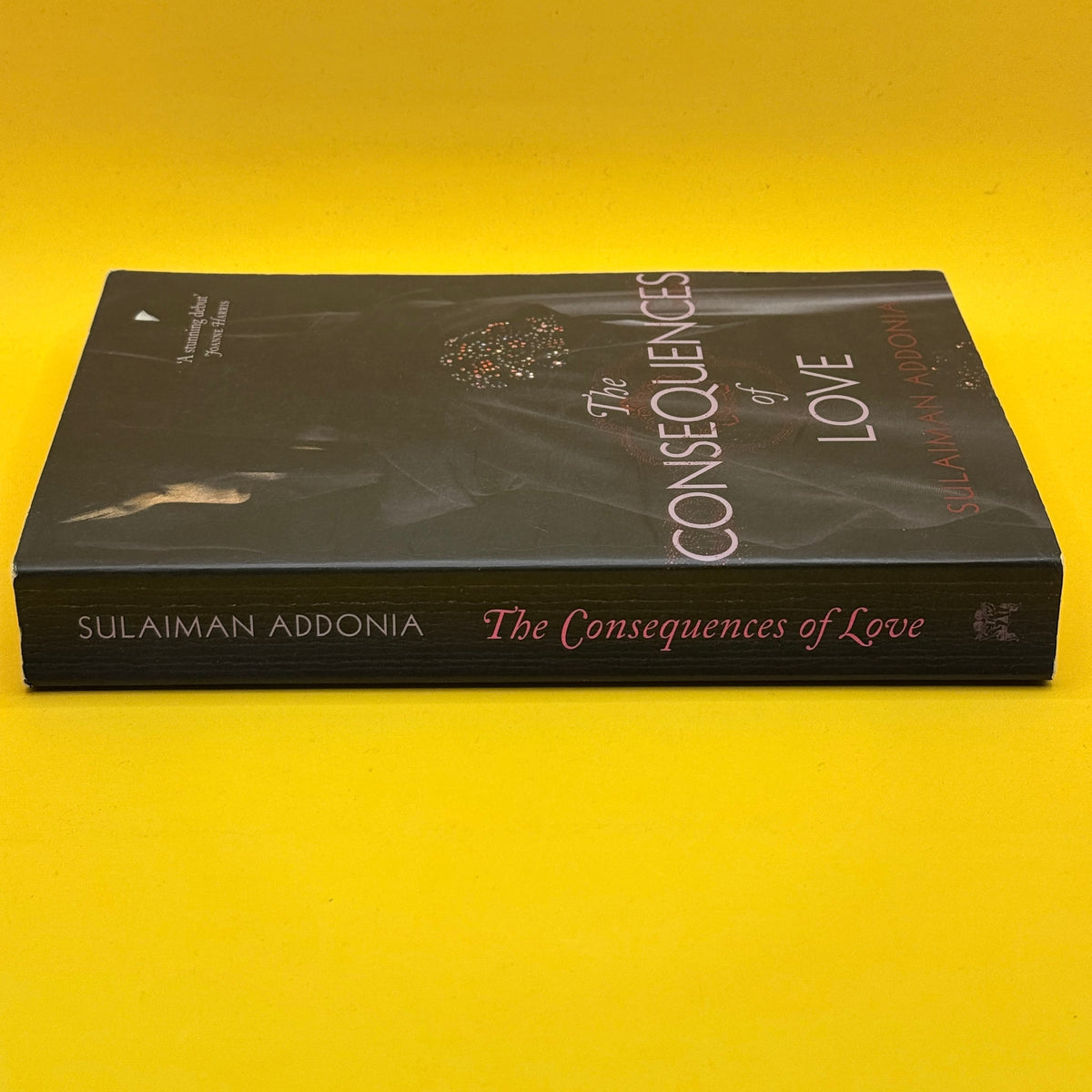 The Consequences of Love by Sulaiman Addonia