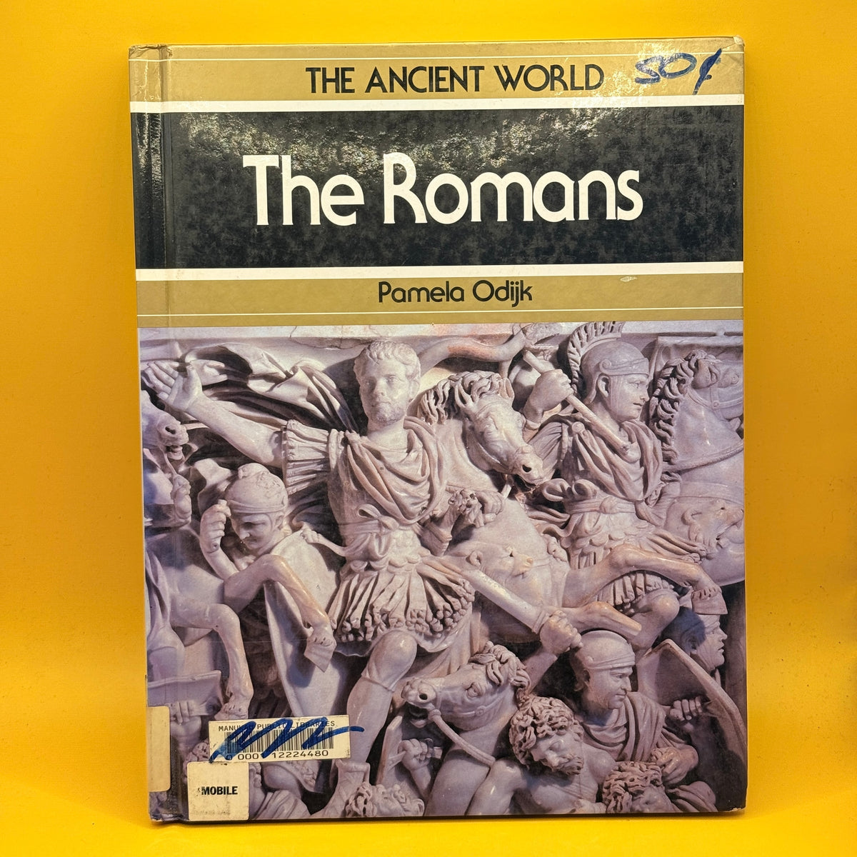 The Romans by Pamela Odijk