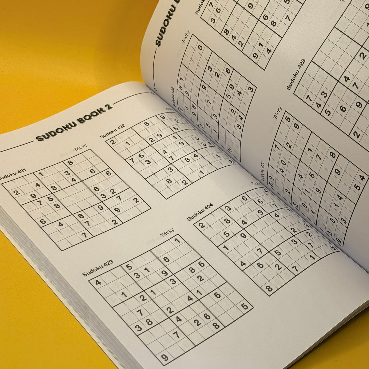 Brain Boosters Sudoku, Volume Two by Page Publications