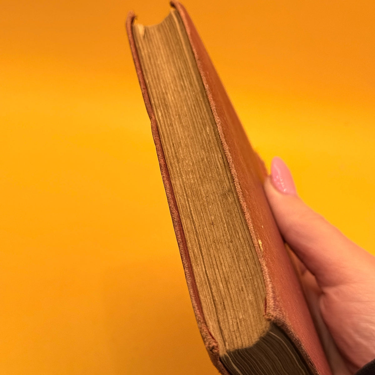 Lavengro: The Scholar—The Gypsy—The Priest by George Borrow