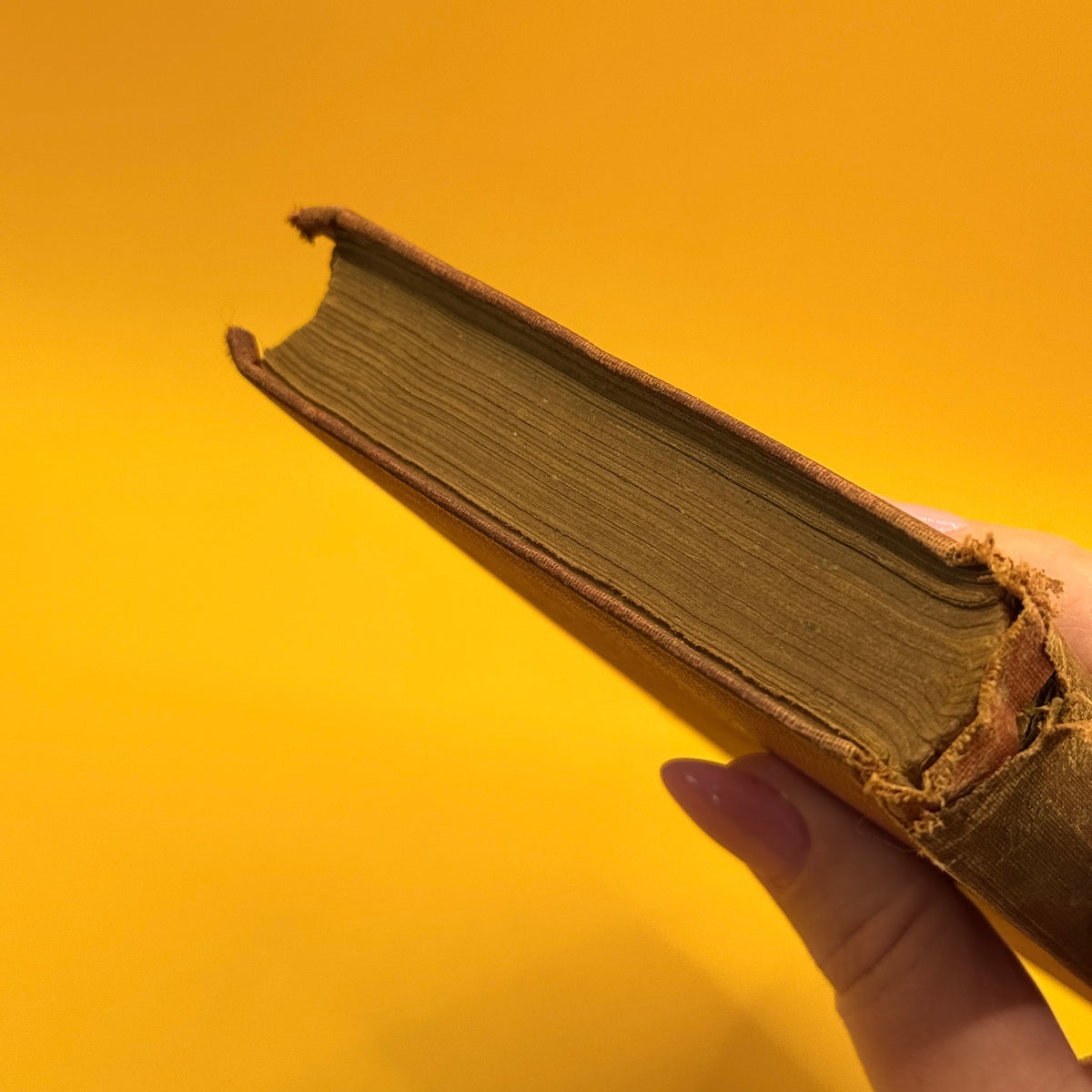 Lavengro: The Scholar—The Gypsy—The Priest by George Borrow