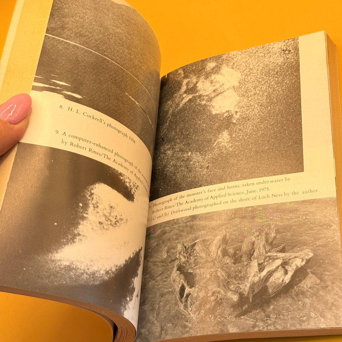 The Loch Ness Mystery Solved by Ronald Binns (1984)
