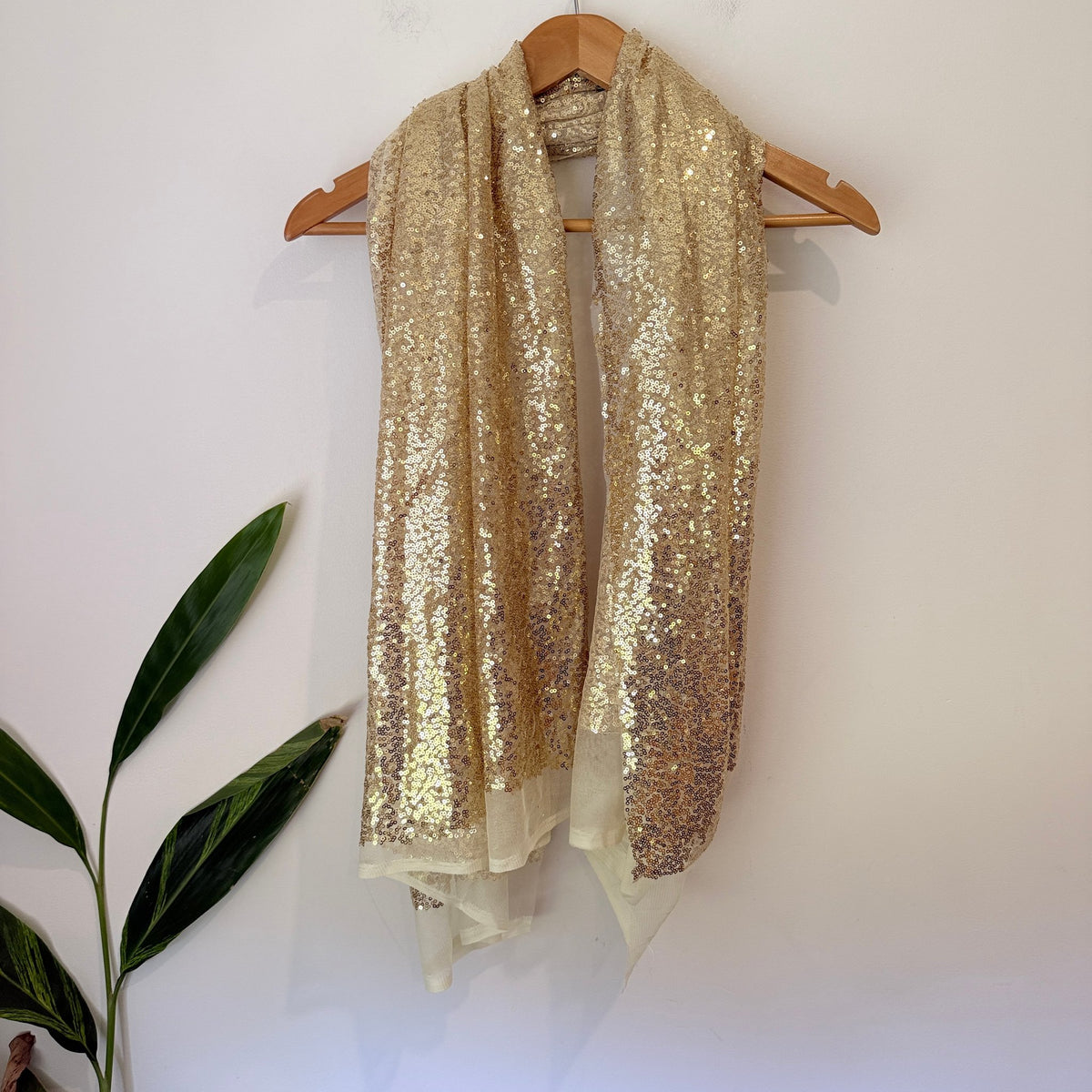 Brand Unknown Sequin Mesh Scarf / Wrap