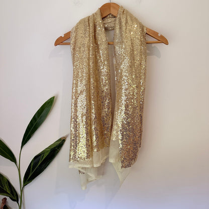 Brand Unknown Sequin Mesh Scarf / Wrap