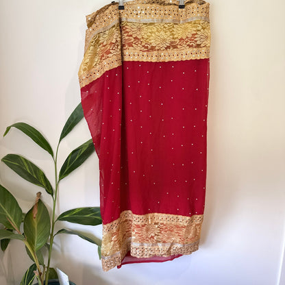 Brand Unknown Mirror Work Lace Border Chiffon Saree