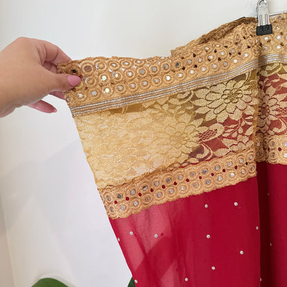 Brand Unknown Mirror Work Lace Border Chiffon Saree