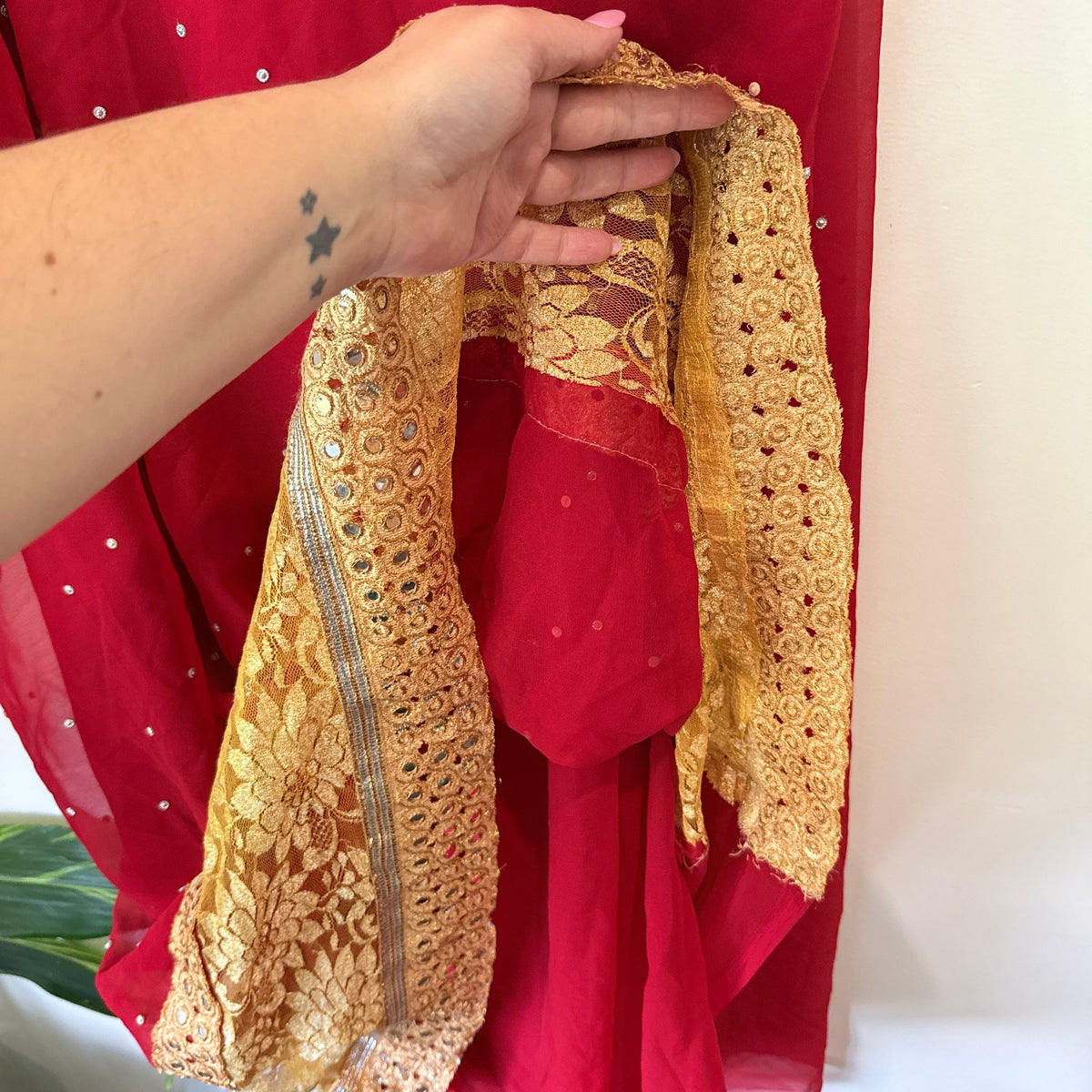 Brand Unknown Mirror Work Lace Border Chiffon Saree