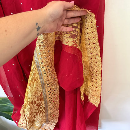 Brand Unknown Mirror Work Lace Border Chiffon Saree