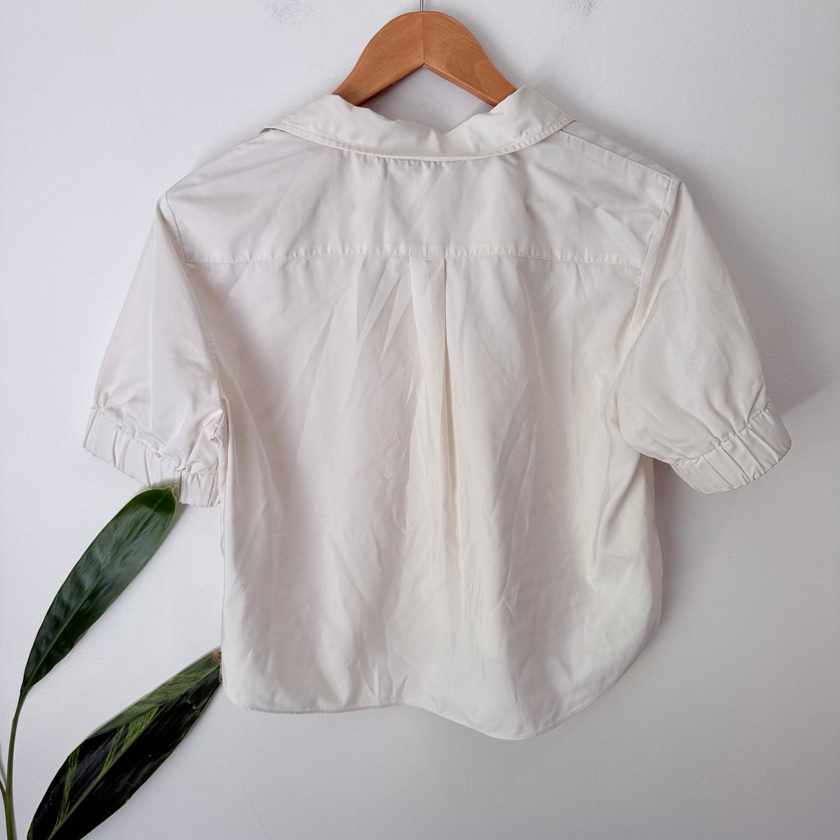 Zara Size M Elastic Cuff Short Sleeve Crop Shirt