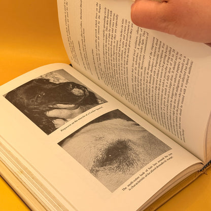 Dog Owner's Home Veterinary Handbook by Delbert G. Carlson and James M. Giffin (1987)