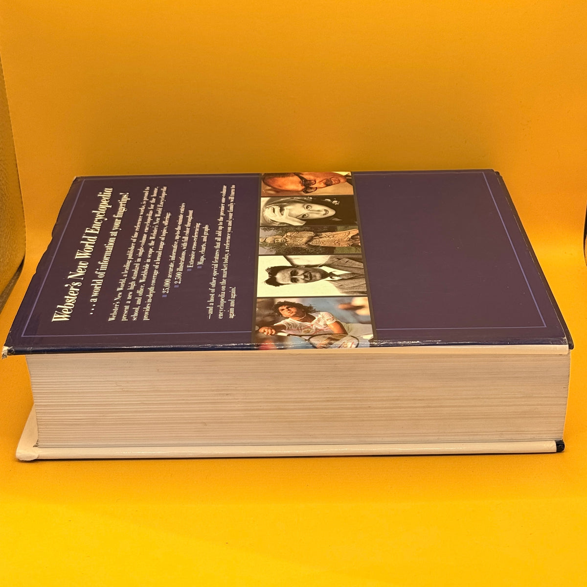 Webster's New World Encyclopedia (1992) by Prentice Hall