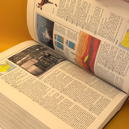Webster's New World Encyclopedia (1992) by Prentice Hall