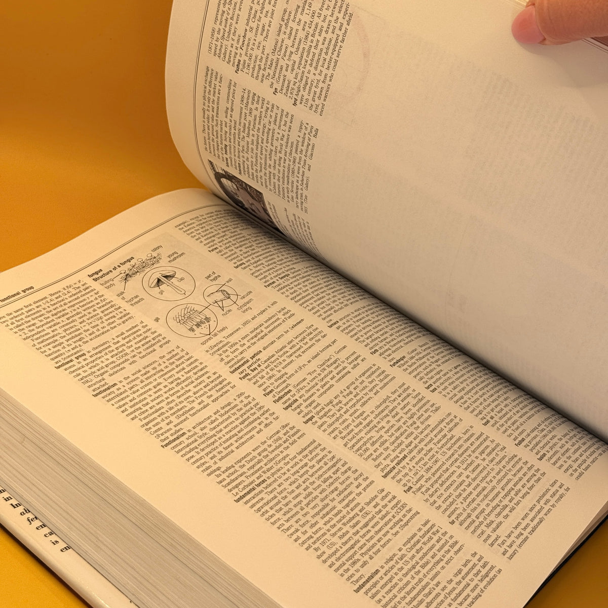 Webster's New World Encyclopedia (1992) by Prentice Hall