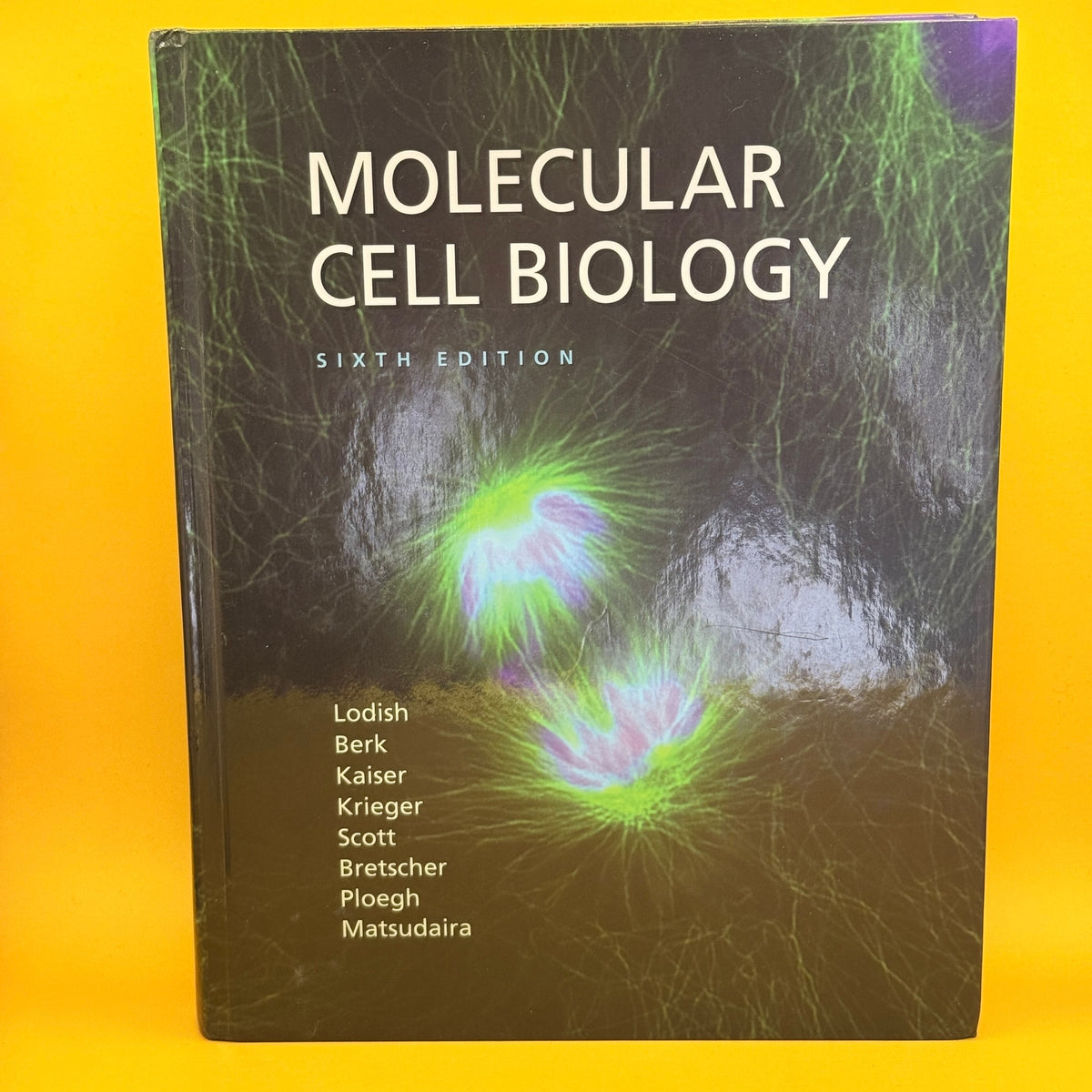 Molecular Cell Biology (Sixth Edition)