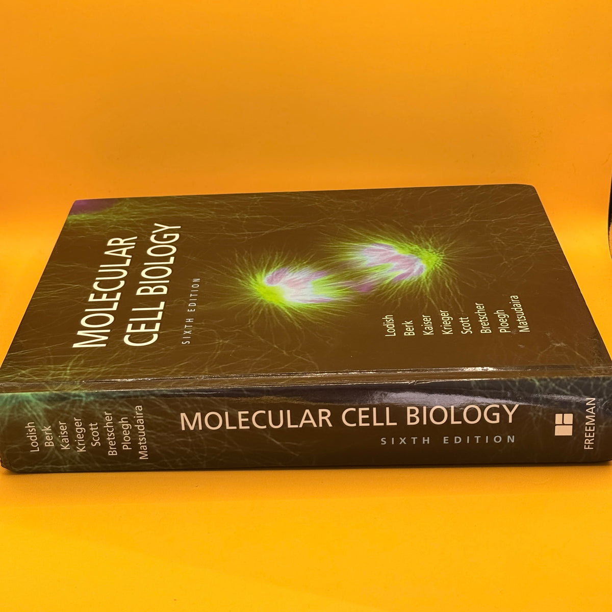 Molecular Cell Biology (Sixth Edition)