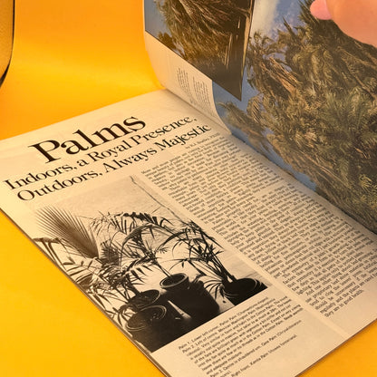 The ABC of Ferns & Palms by Beryl Guertner