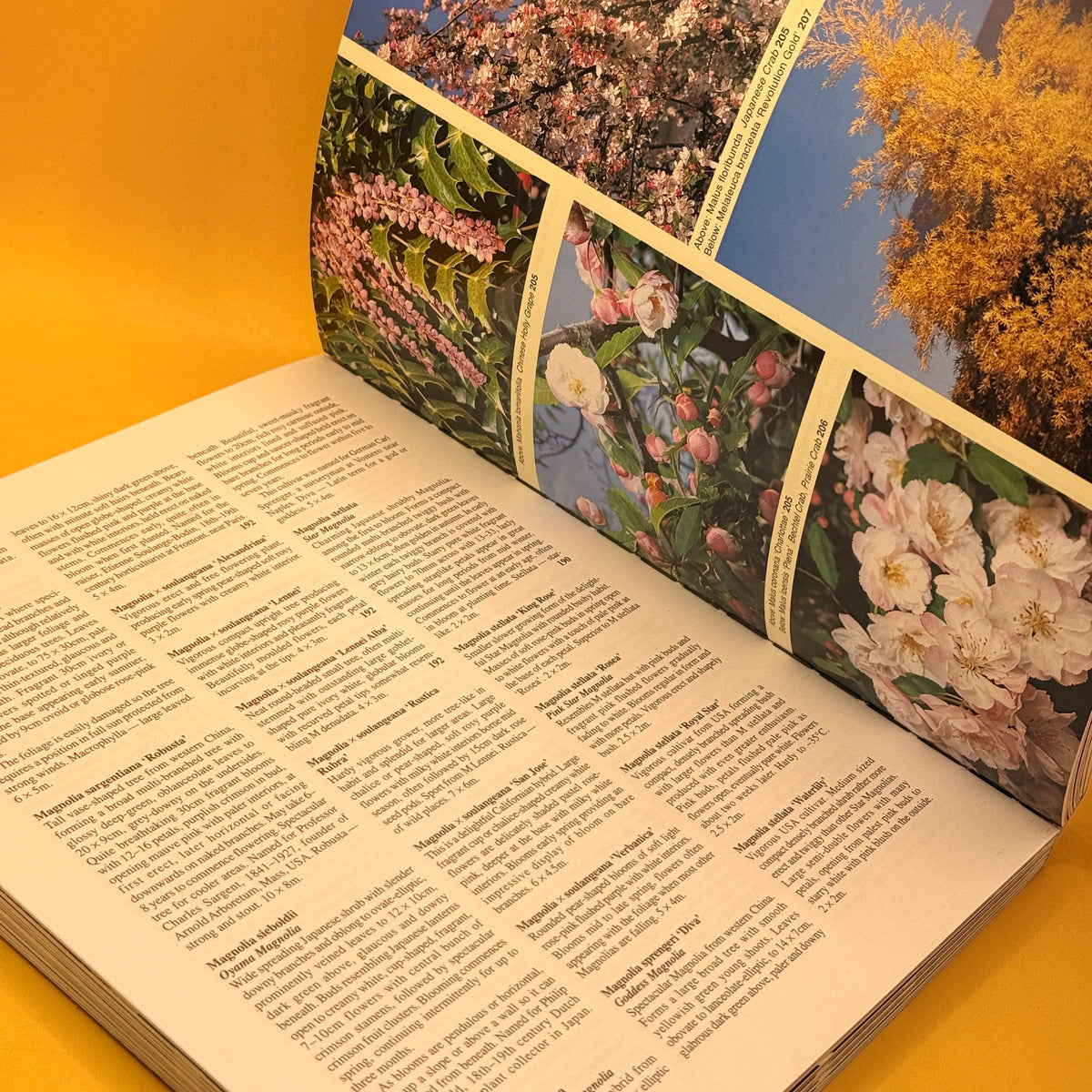 Palmers Manual of Trees, Shrubs and Climbers by Stanley J. Palmer