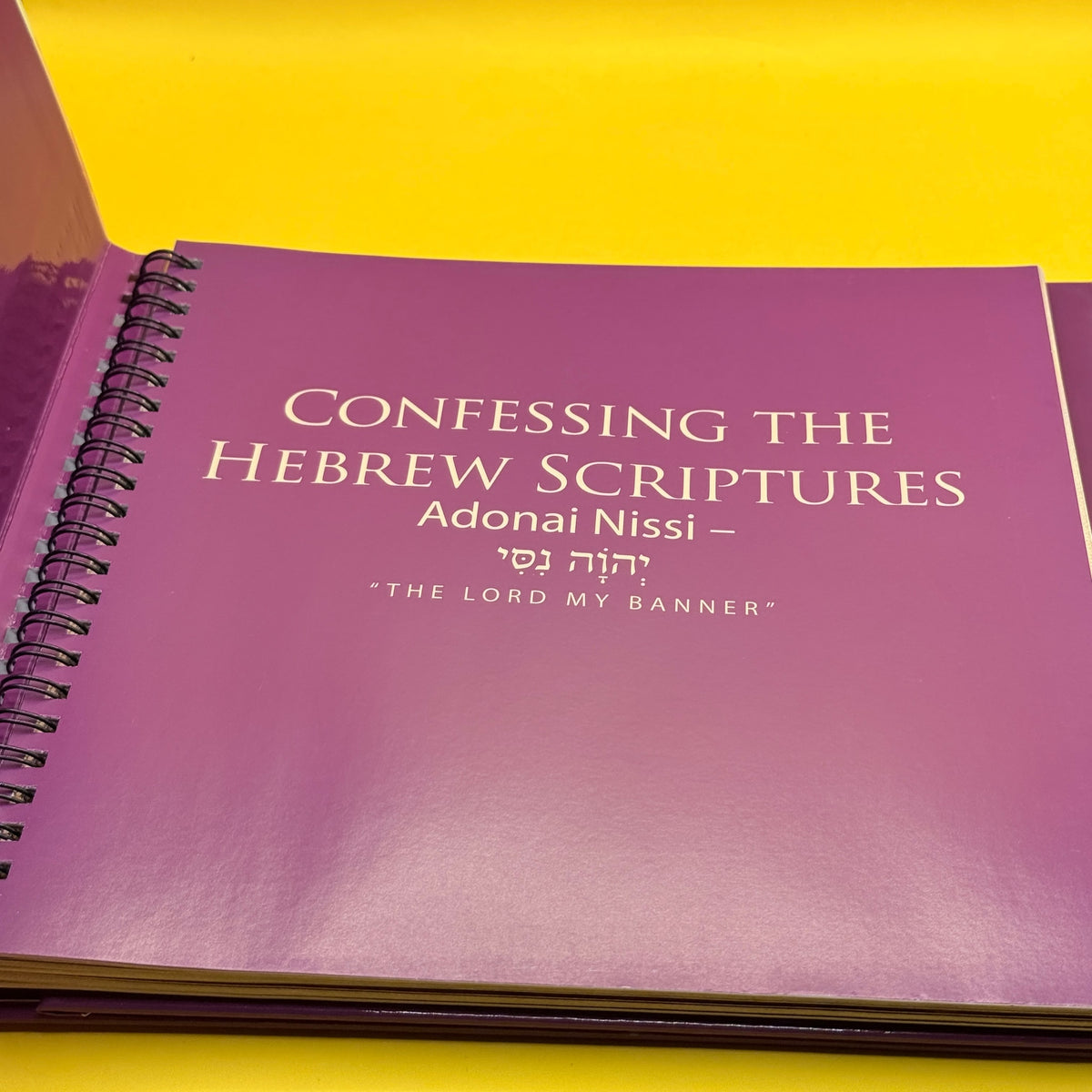 Confessing the Hebrew Scriptures: Adonai Nissi — The Lord My Banner by Jonathan Bernis