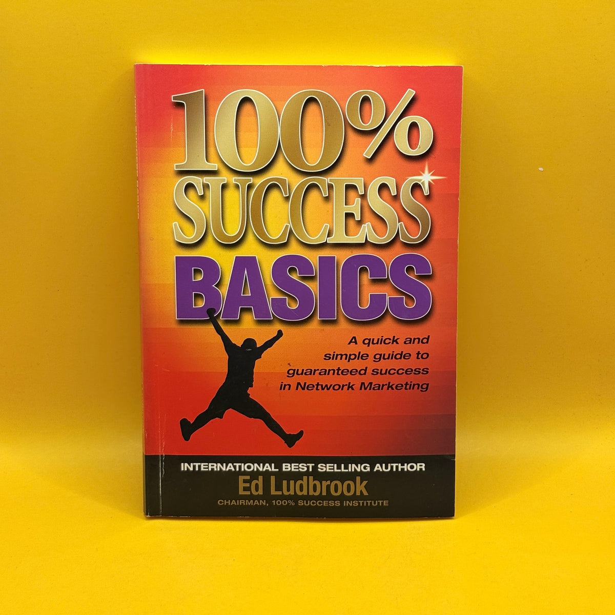 100% Success Basics by Ed Ludbrook