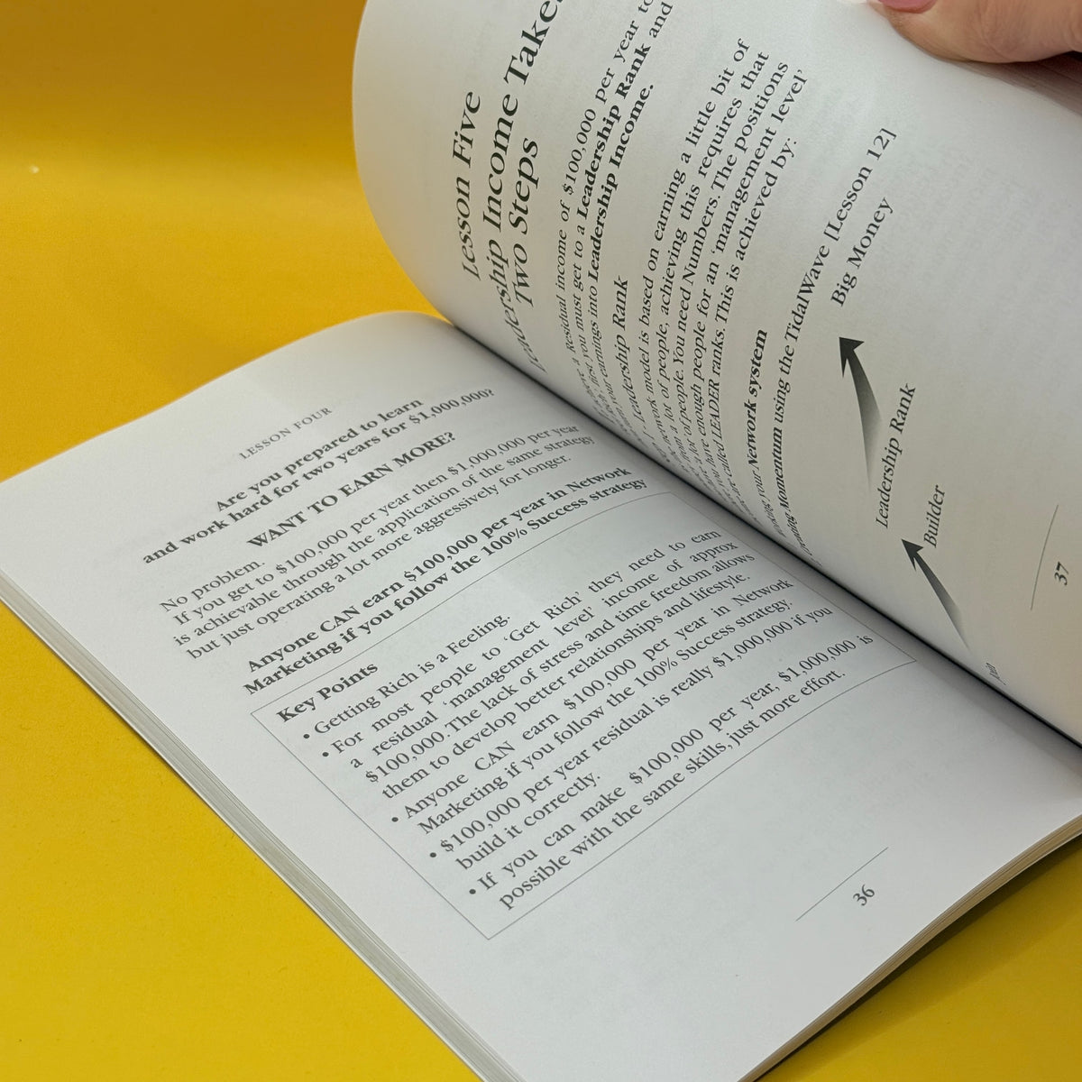 100% Success Basics by Ed Ludbrook