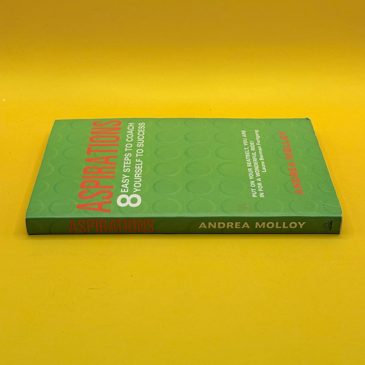 Aspirations: 8 Easy Steps to Coach Yourself to Success by Andrea Molloy