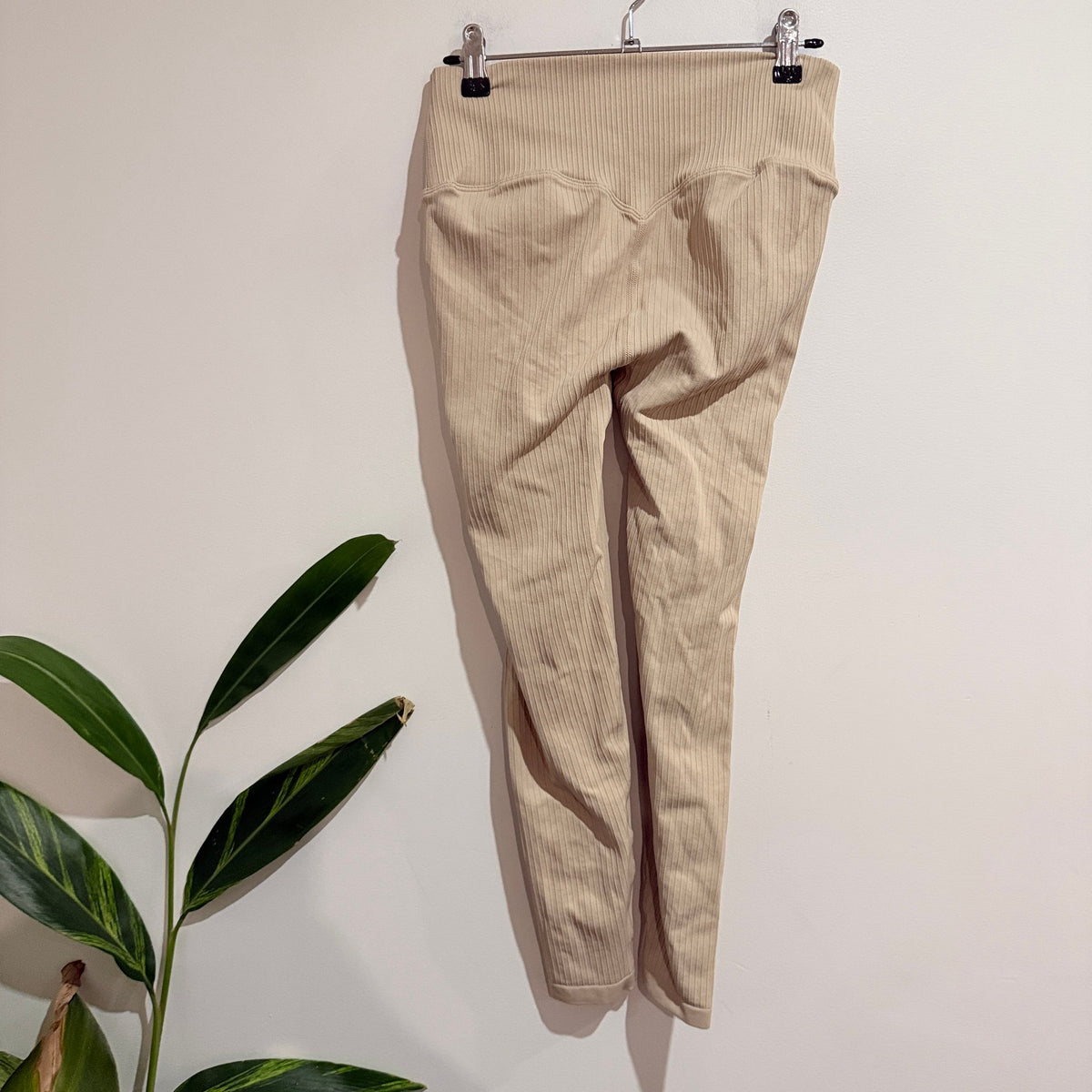 Aim'n Size M Ribbed Seamless High Waist Leggings