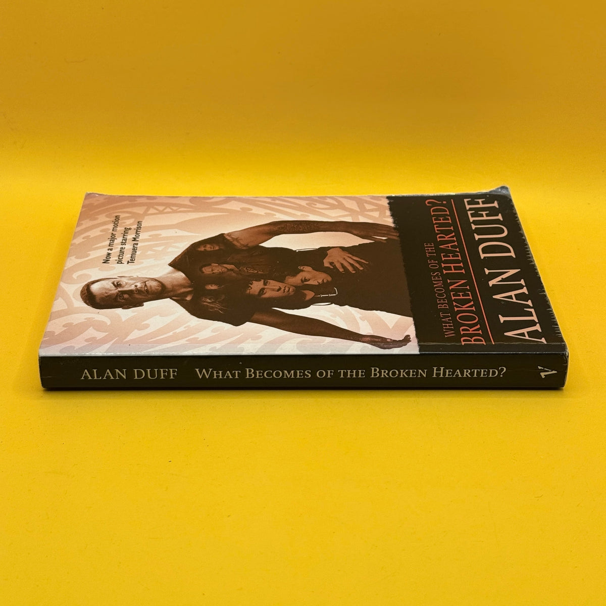 What Becomes of the Broken Hearted? by Alan Duff