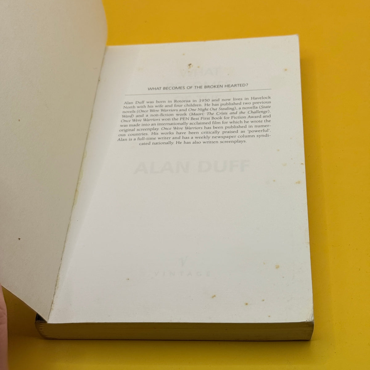 What Becomes of the Broken Hearted? by Alan Duff