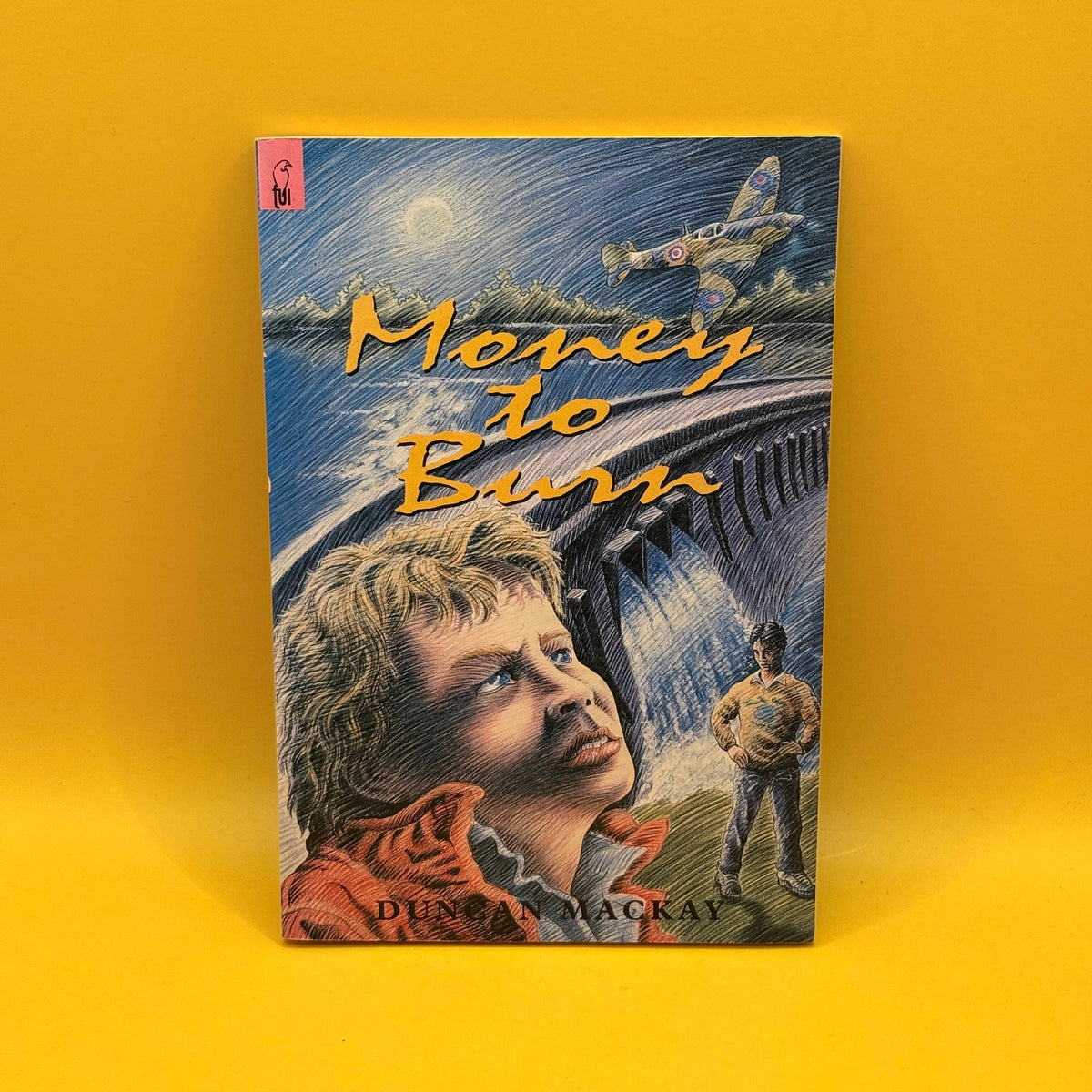 Money to Burn by Duncan Mackay