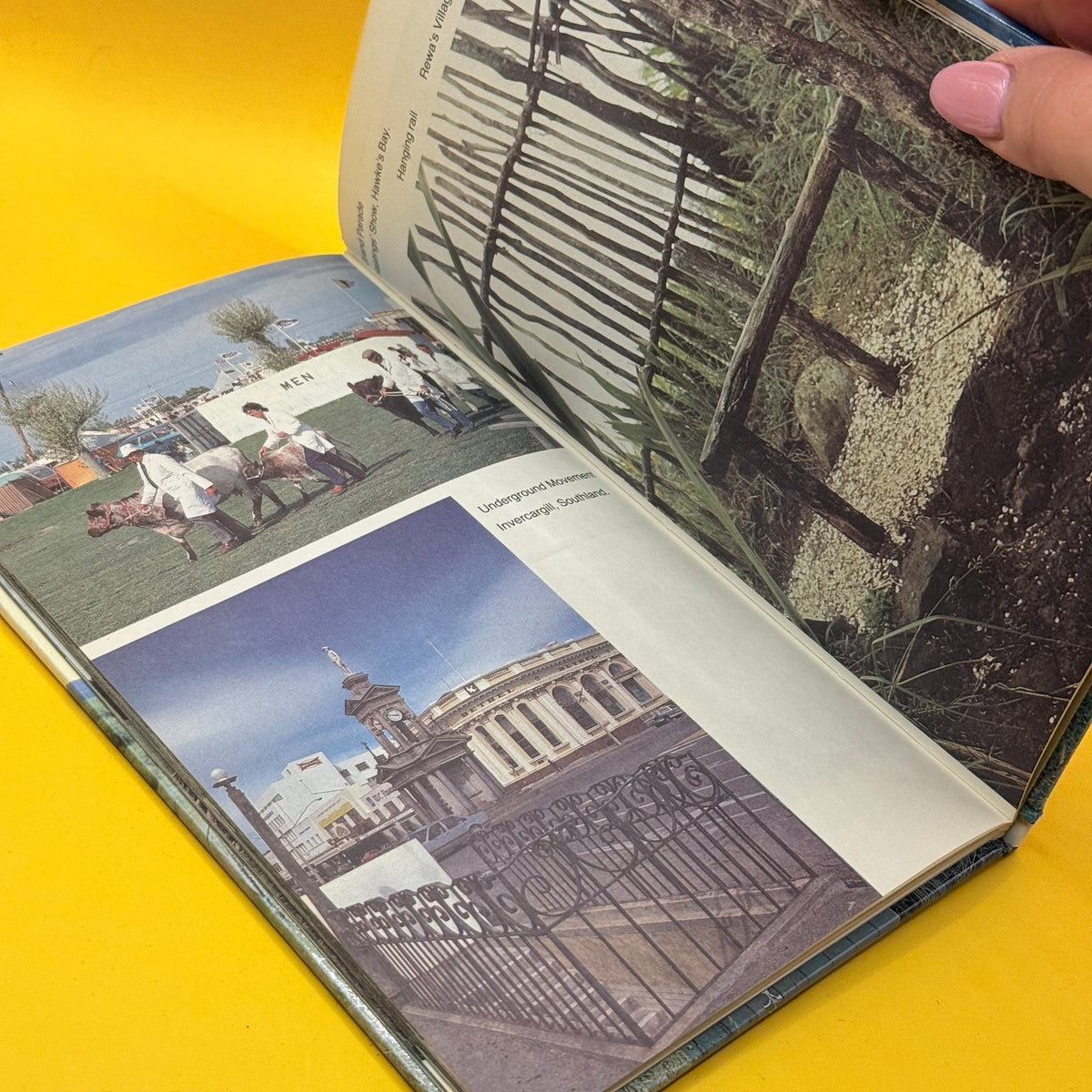 Dunnies, Dykes and Longdrops by Douglass Baglin and Yvonne Austin - 1984