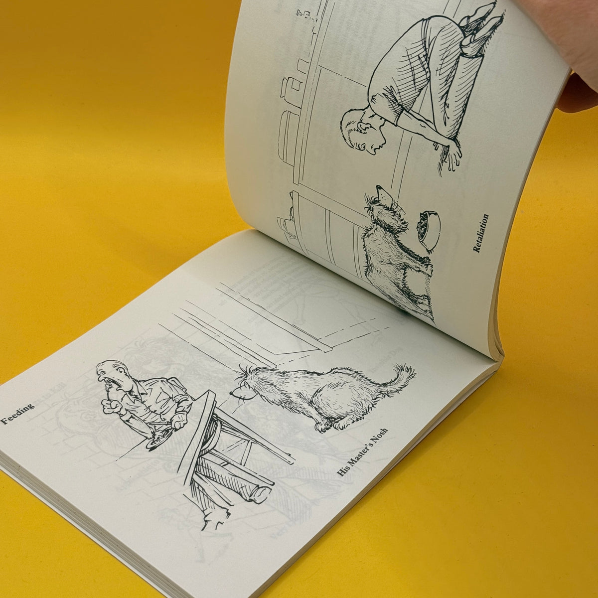 The Loony Dog Owner's Handbook by Borin Van Loon - 1985