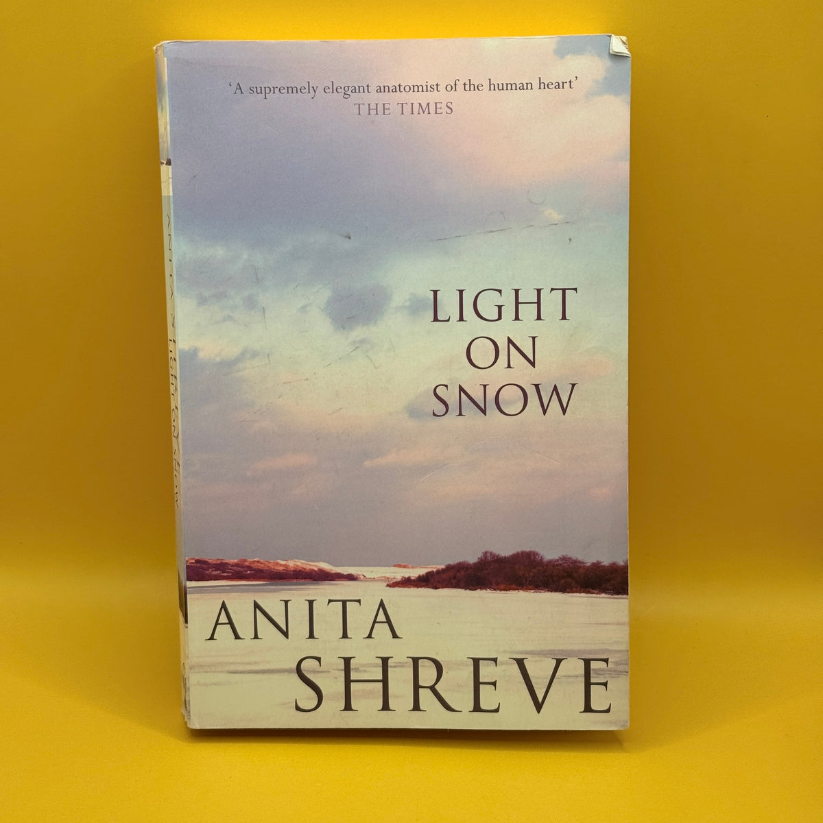 Light on Snow by Anita Shreve