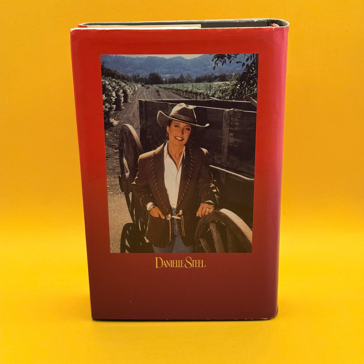 The Ranch by Danielle Steel