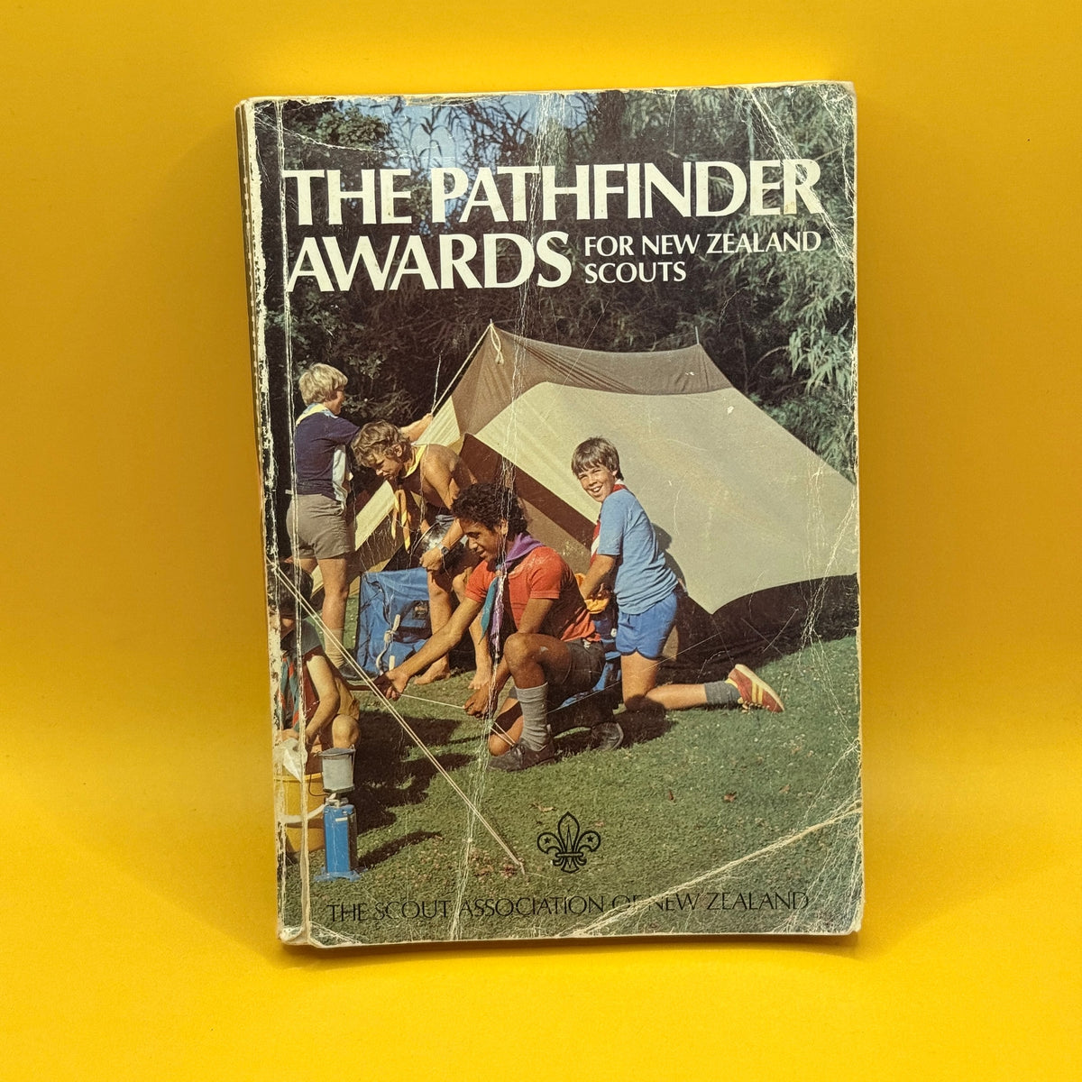 The Pathfinder Awards for New Zealand Scouts by The Scout Association of New Zealand - 1986