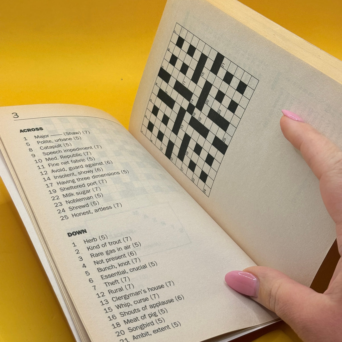 The Daily Telegraph Bumper Book of Word Games and Puzzles by Telegraph Group Limited