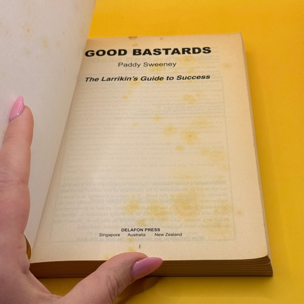 Good Bastards: The Larrikin's Guide to Success by Paddy Sweeney