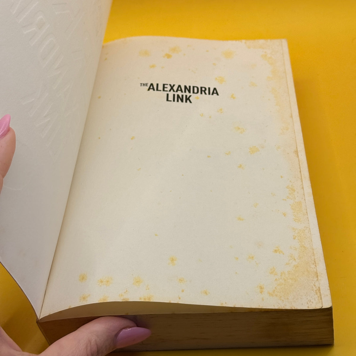 The Alexandria Link by Steve Berry