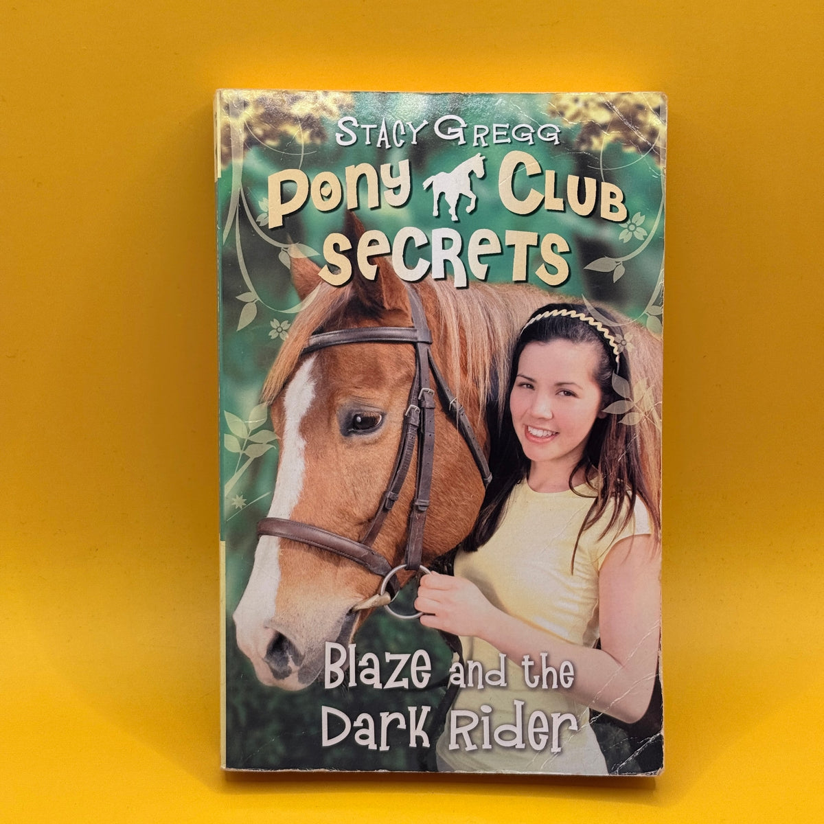 Blaze and the Dark Rider (Pony Club Secrets) by Stacy Gregg