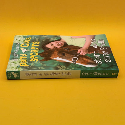 Storm and the Silver Bridle (Pony Club Secrets) by Stacy Gregg