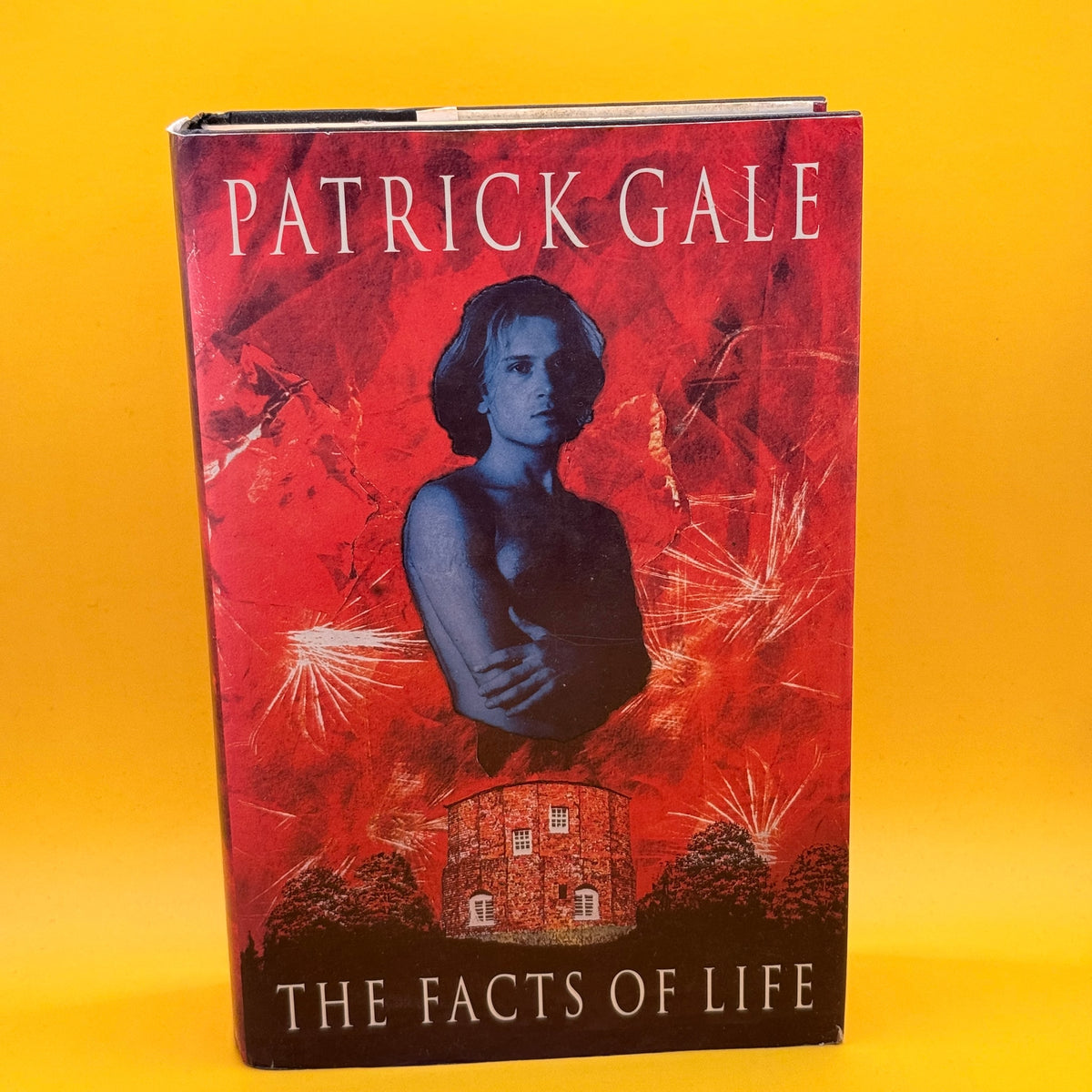 The Facts of Life by Patrick Gale