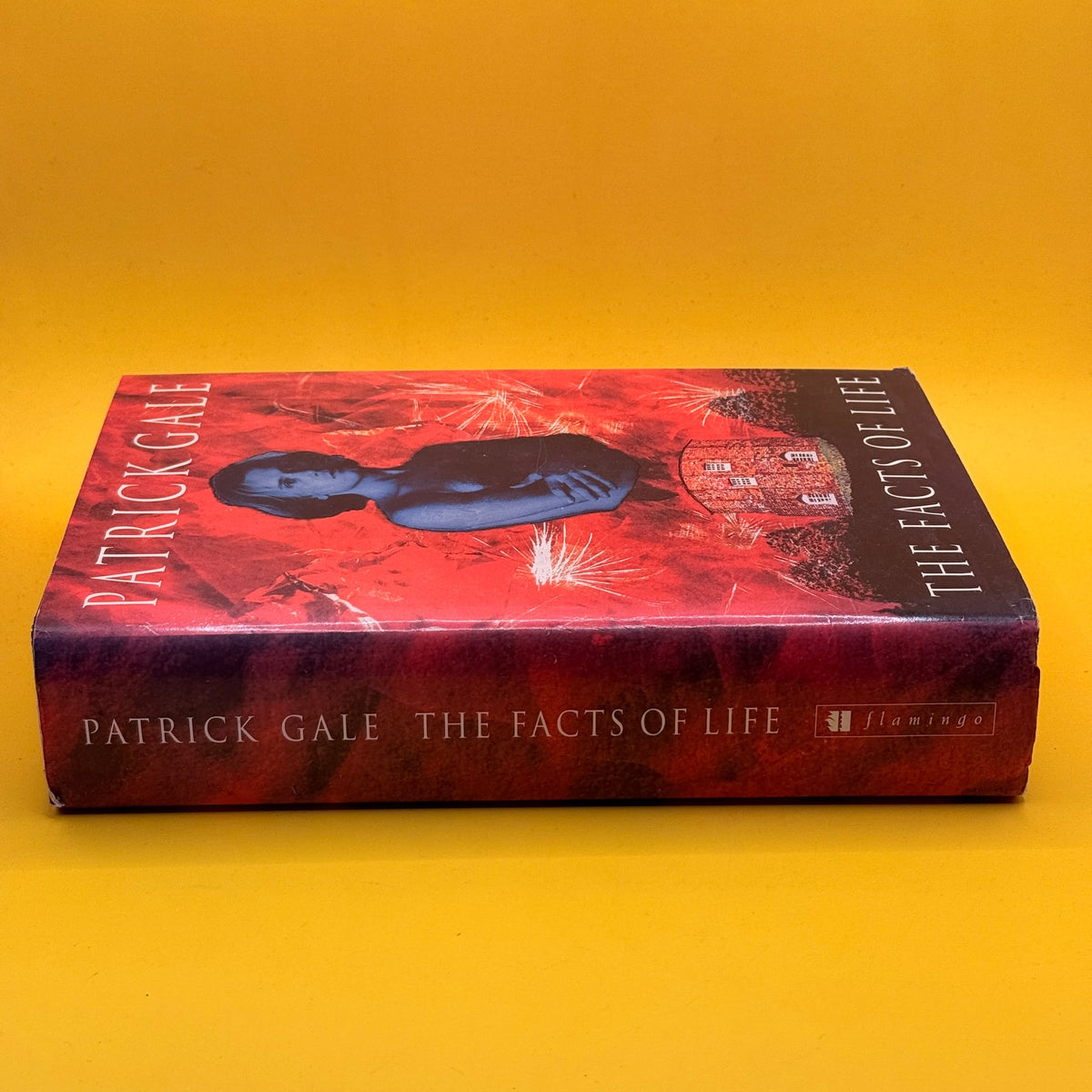 The Facts of Life by Patrick Gale