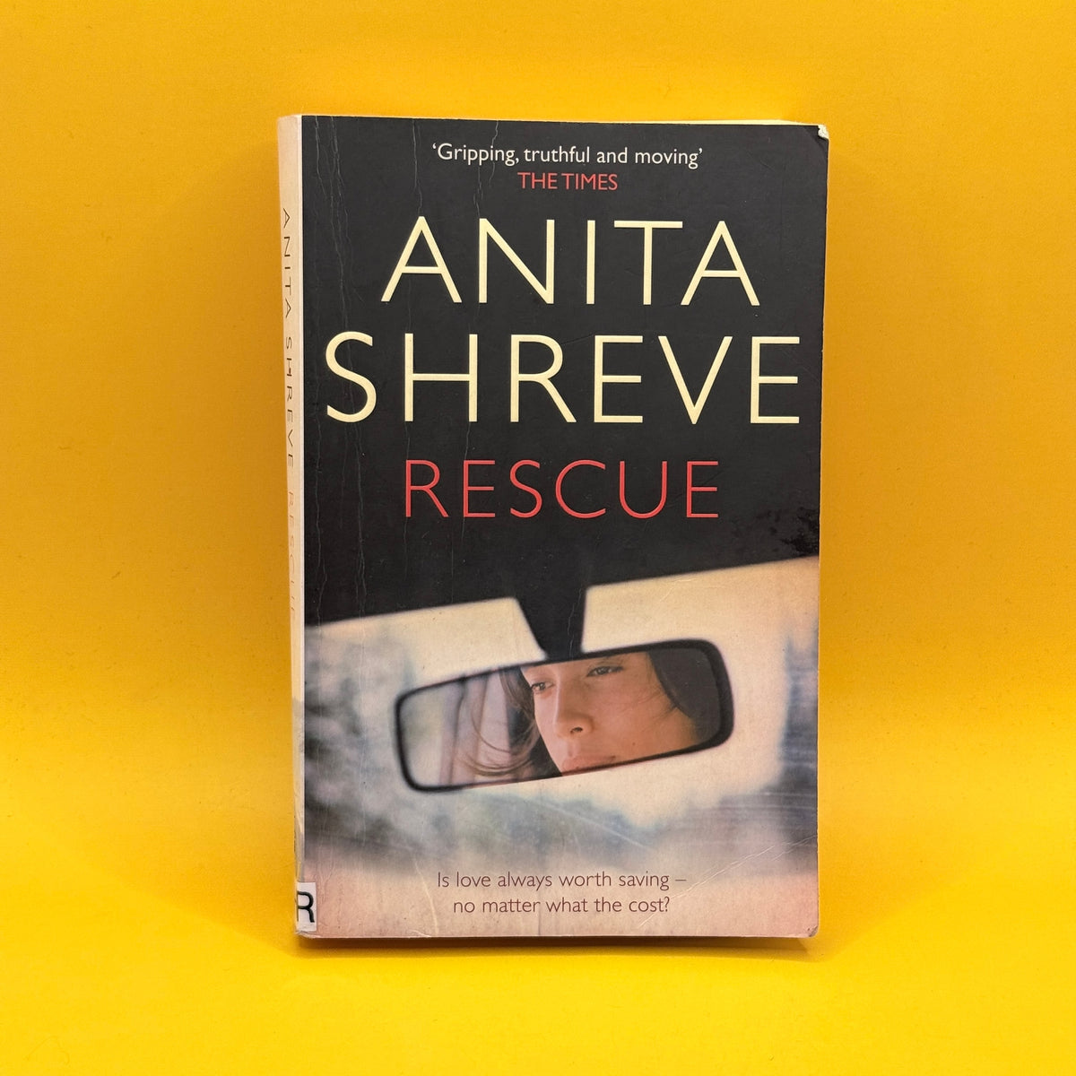 Rescue by Anita Shreve