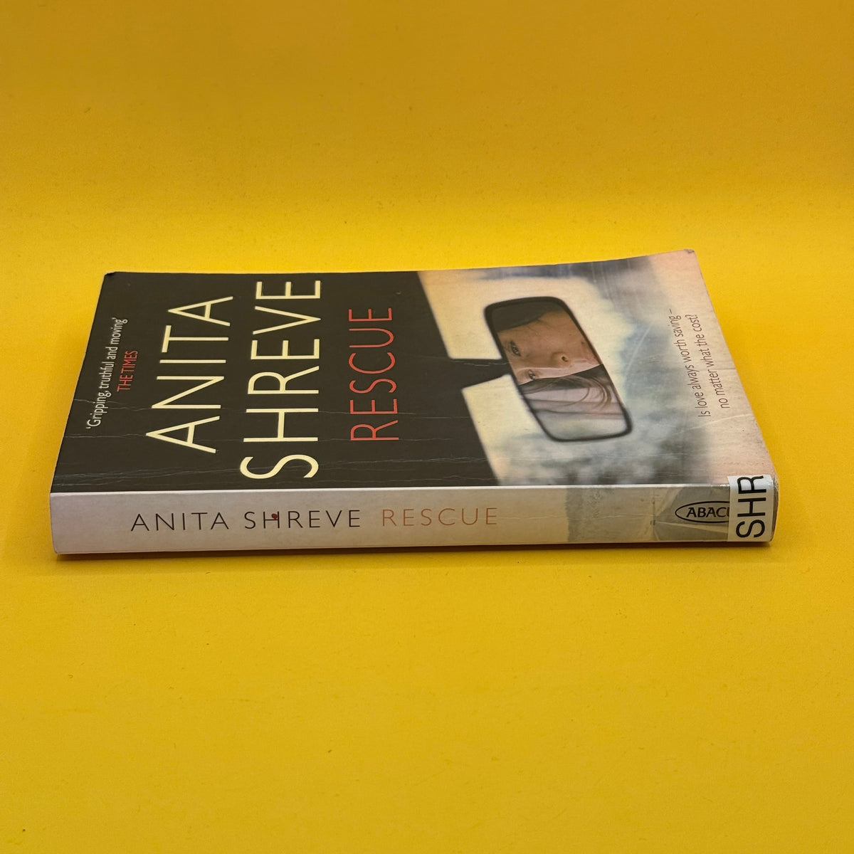 Rescue by Anita Shreve