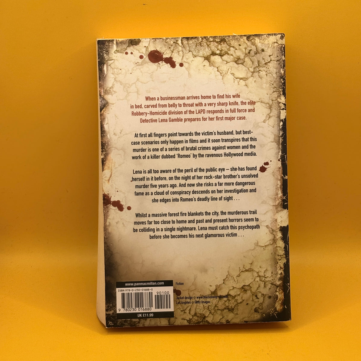 City of Fire by Robert Ellis