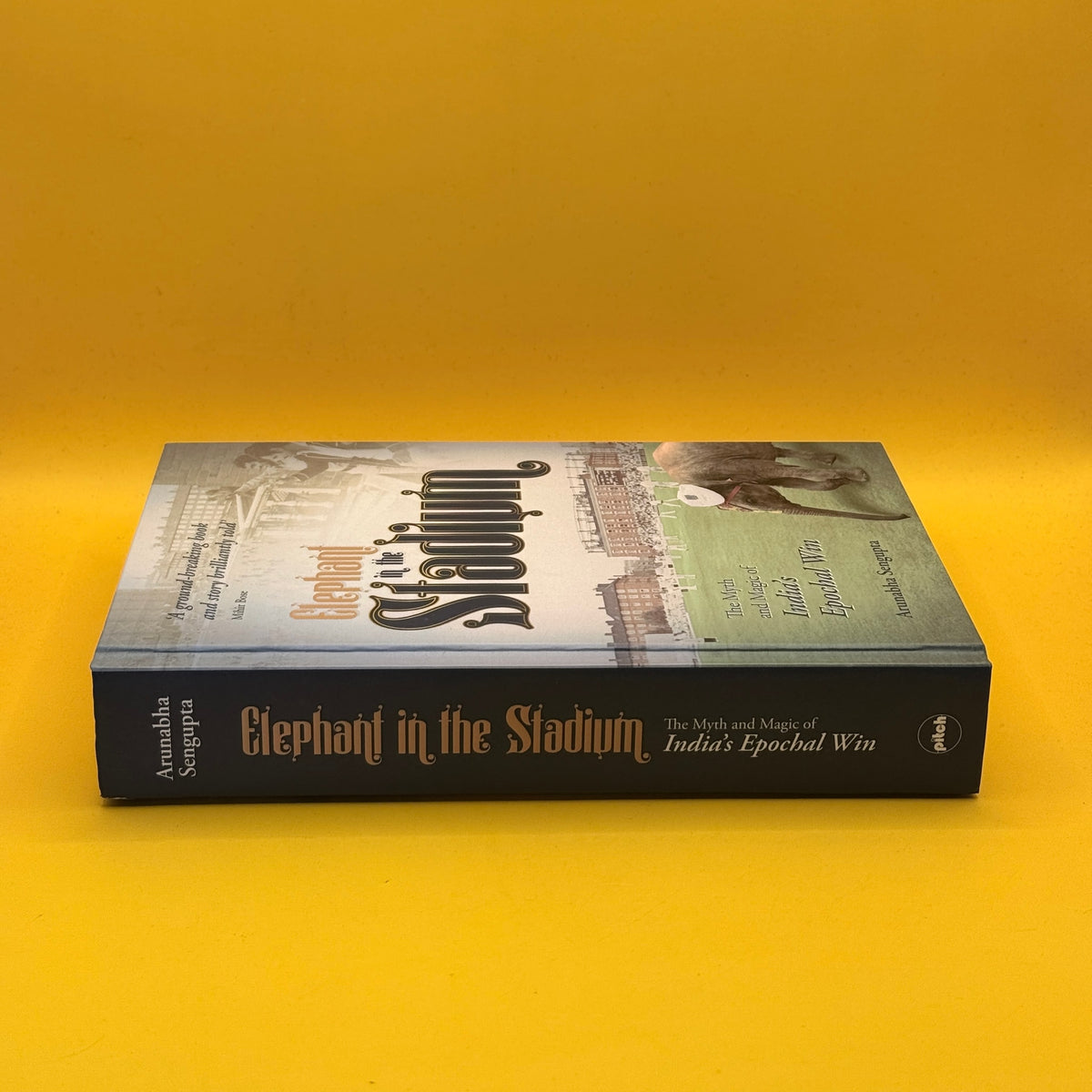 Elephant in the Stadium: The Myth and Magic of India's Epochal Win by Arunabha Sengupta